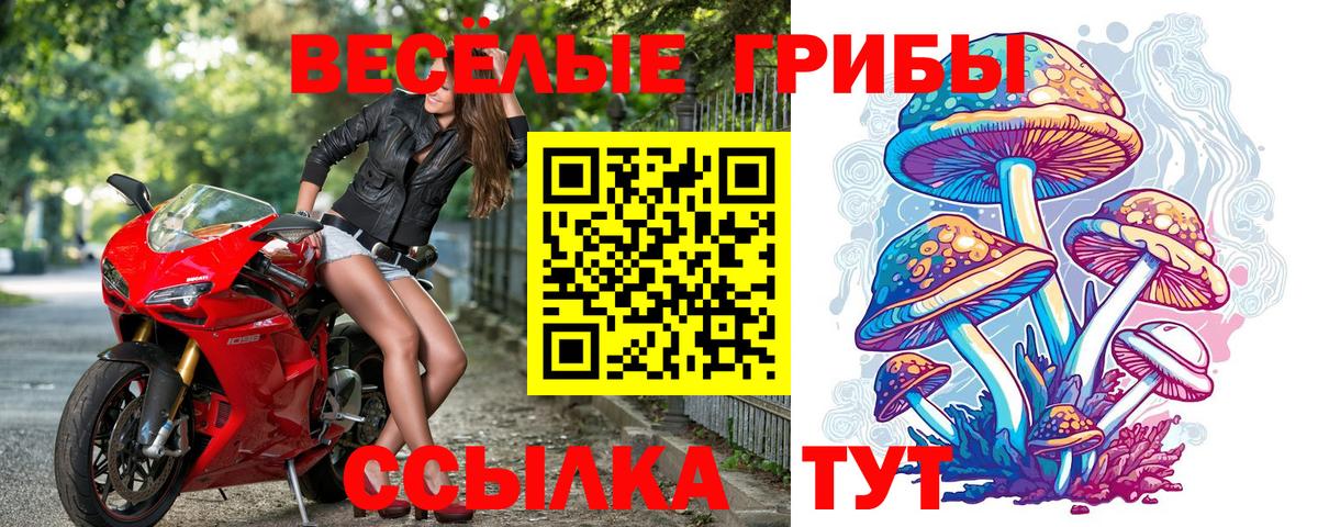 Новоалтайск  Псилоцибиновые грибы прущие грибы  Вход с VPN 
