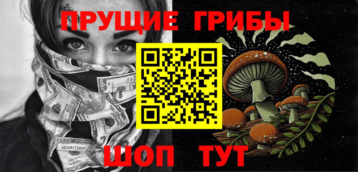 Псилоцибиновые грибы Psilocybe Новоалтайск